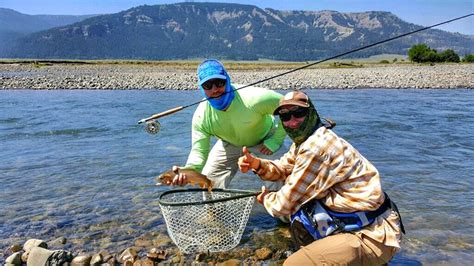 yellowstone fishing permit|fishing in yellowstone national park.